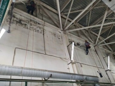 Удаление грибка и обновление стен на пищевом производстве