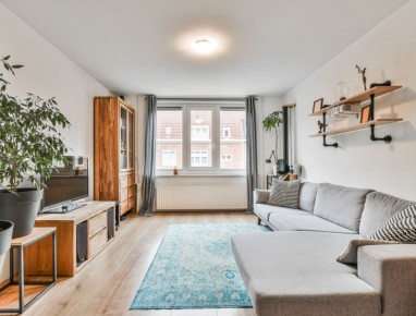 ������� ���������� ��������: ���� � ����������