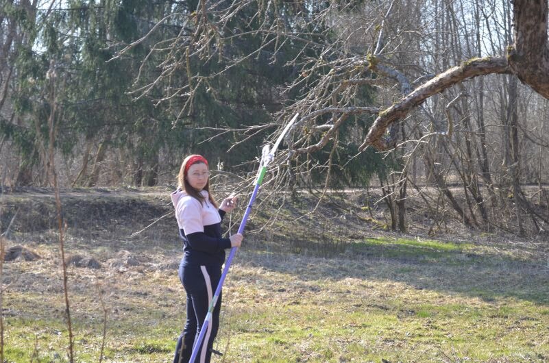 Весенние заботы: как подготовить сад к новой жизни