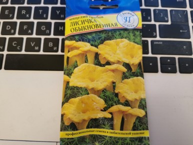 ������� ������: ��������� ��� �����������?