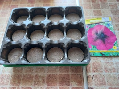 ������� �������� ������� ������� � �������� ��������