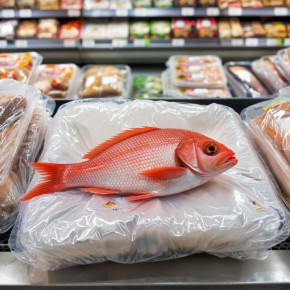 ���� ����� ������������ ������� ����: ������ �����