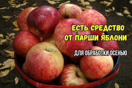 ��� ��������� ���������� ������ �� �����: ���� � ����������