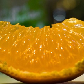 Цитрусовая кожура: ваш новый союзник в борьбе с вредителями