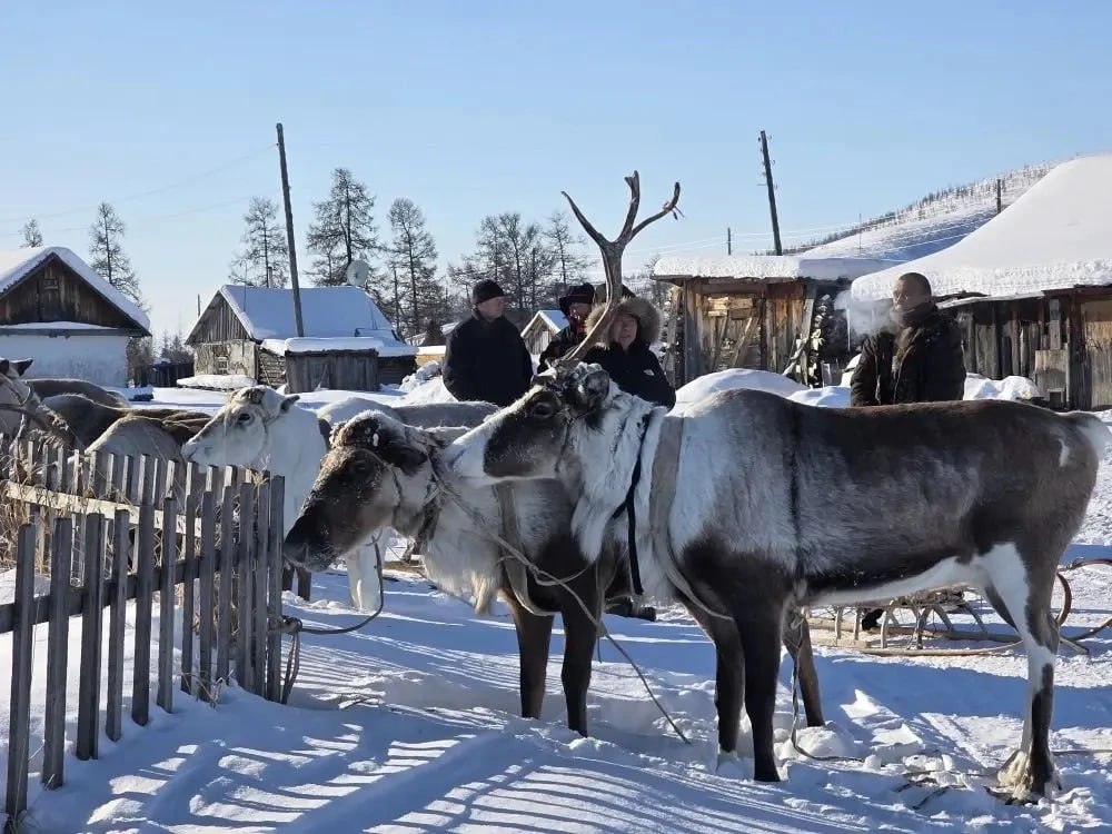 Владислав Кузнецов: Поздравляю победителей наших традиционных гонок на оленьих упряжках "Ръилет 2026" Владислав Кузнецов: Поздравляю победителей наших традиционных гонок на оленьих упряжках "Ръилет 2026"