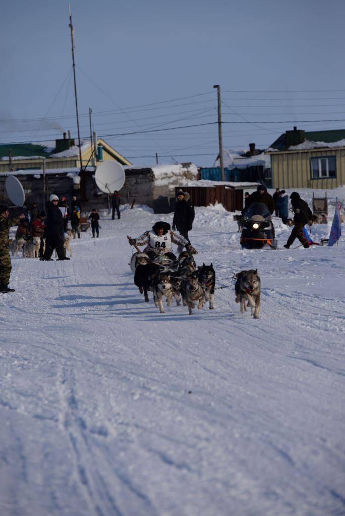 «Надежда-2026». В селе Инчоун 18 марта провела выездное заседание организационного комитета Чукотского района по подготовке и проведению гонки на собачьих упряжках «Надежда - 2026» «Надежда-2026». В селе Инчоун 18 марта провела выездное заседание организационного комитета Чукотского района по подготовке и проведению гонки на собачьих упряжках «Надежда - 2026»