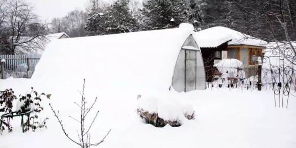 ��� ���� � �������� ������������ �������� ������