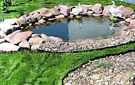 Как создать водоем на даче: советы и рекомендации