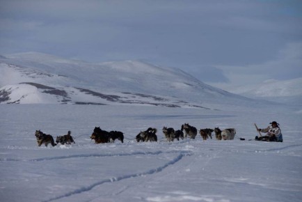 «Надежда-2026». В селе Инчоун 18 марта провела выездное заседание организационного комитета Чукотского района по подготовке и проведению гонки на собачьих упряжках «Надежда - 2026»