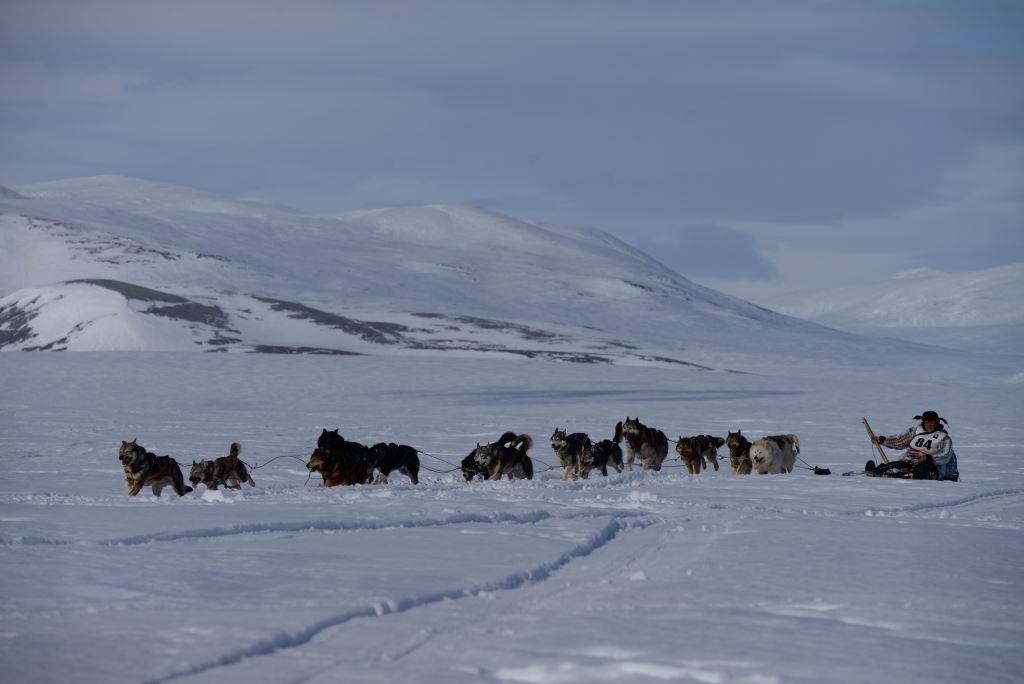 «Надежда-2026». В селе Инчоун 18 марта провела выездное заседание организационного комитета Чукотского района по подготовке и проведению гонки на собачьих упряжках «Надежда - 2026»