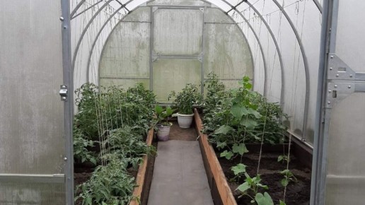 ��� �������� ������ ��� �������������: ������� ������������ ������������