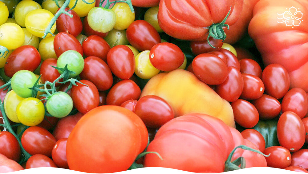 Секреты томатов, которые остаются свежими даже зимой