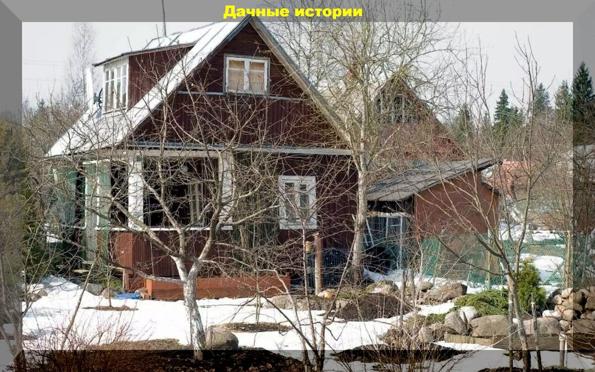 Ответы на вопросы садоводов: полезные советы для начинающих