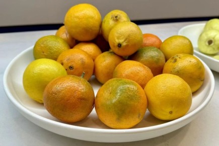 Профессор БГМУ назвал риски употребления мандаринов