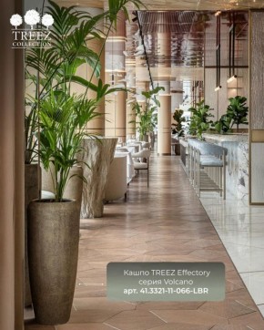 ����� Treez ����������� �������� ����� � ���������� ����� �� ������