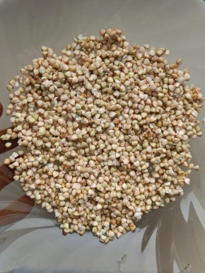 Пророщенная зелёная гречка: советы по проращиванию и рецепты использования