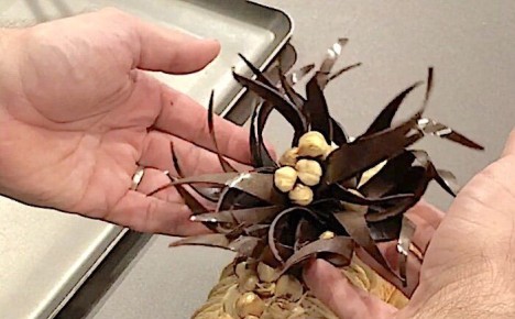 ���������� �����: ������������ ����� ��� ��������� � ���������� ������������ �������