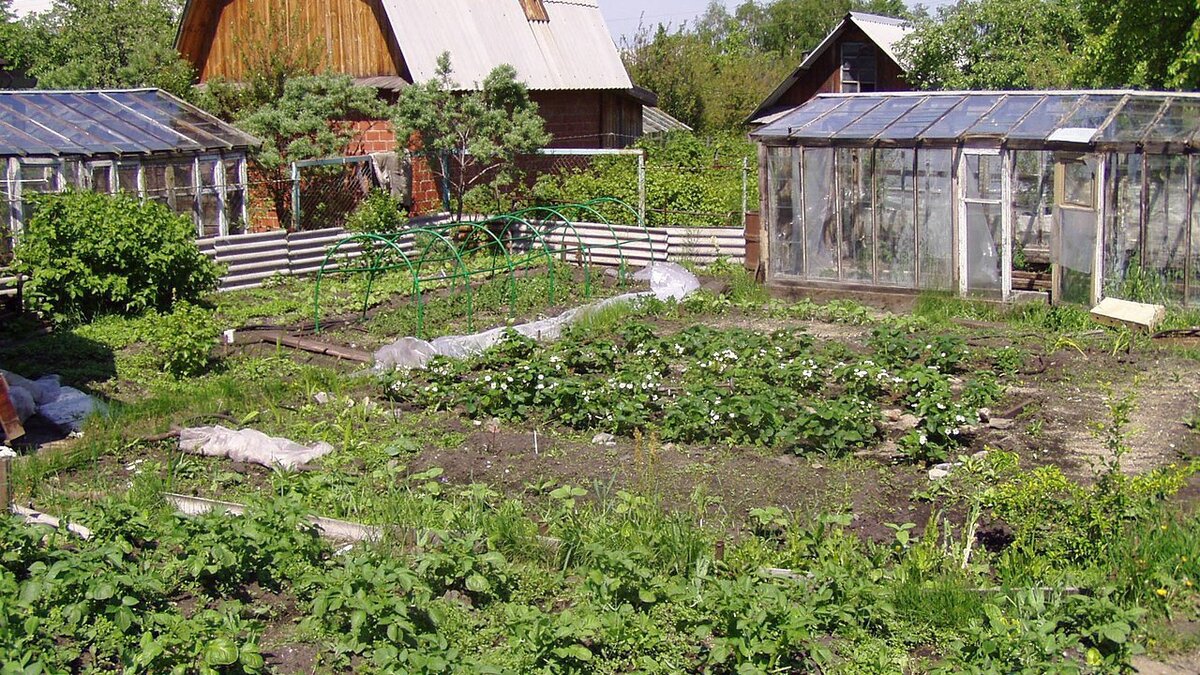 Когда лучше купить дачу: весна или осень?