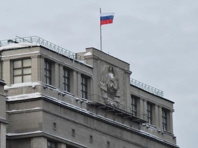 Законопроект о защите россиян за границей: в Госдуму внесены новые инициативы