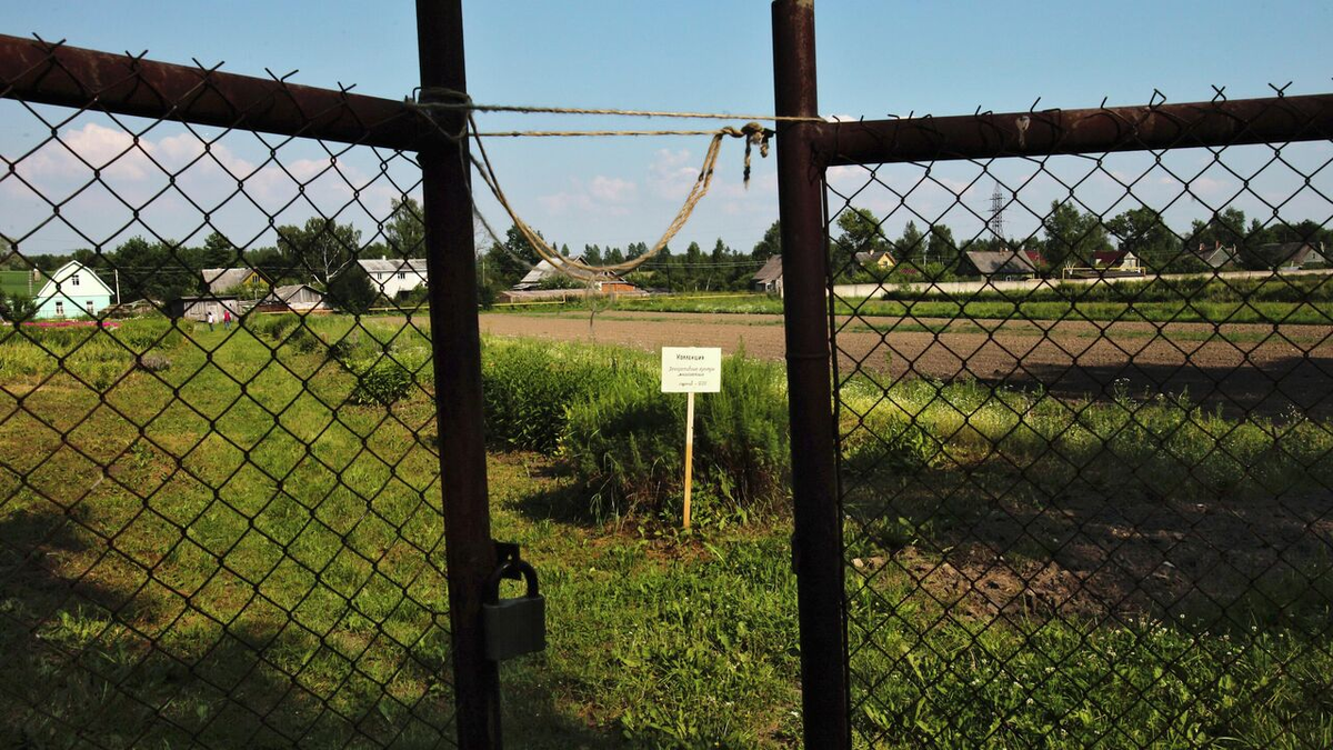 Собственникам земли пришло время действовать: Росреестр запустил отсчет до 2028 года