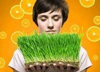 Неприятные запахи в доме: как с ними справиться?