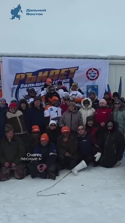 Такое увидишь не каждый день: гонки, где вместо машин — олени