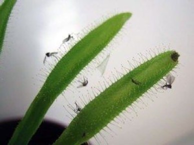 ����� � ������������: ����������� ������� ������ � ������������