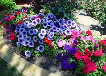 ��� ��������� �������: ���� ������� ��� ����������