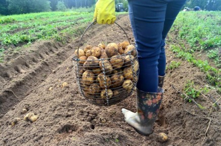 ���������� ����� ���������: ����� �������� �������� ������������ ������