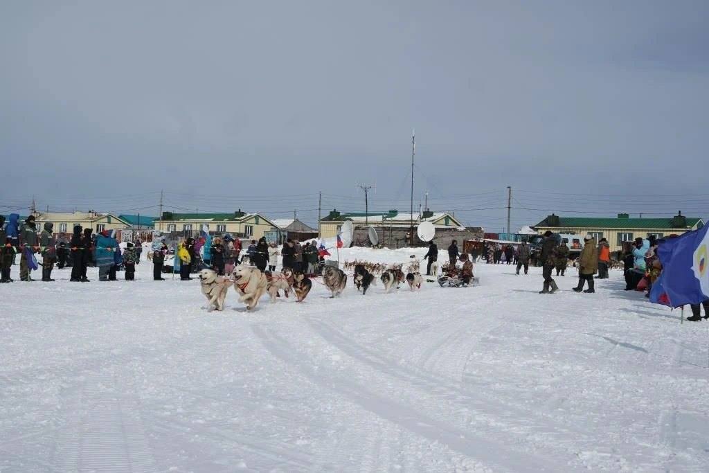 В селе Инчоун Чукотского района 29 марта состоялось торжественное открытие гонки на собачьих упряжках «Надежда – 2026» и жеребьевка участников