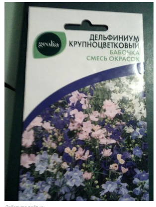 Дельфиниум «Бабочка»: Как вырастить и чем удивит новый цветок