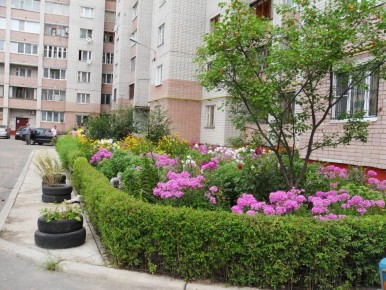 ��� ������� ������ � ���������������� ���� � �������� ������� � 2026 ����