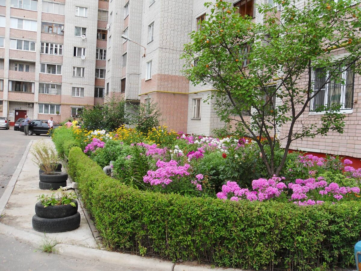 Как создать клумбу у многоквартирного дома и избежать штрафов в 2026 году