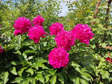 �������� ��� � ������ ����: �� ��� � ���������