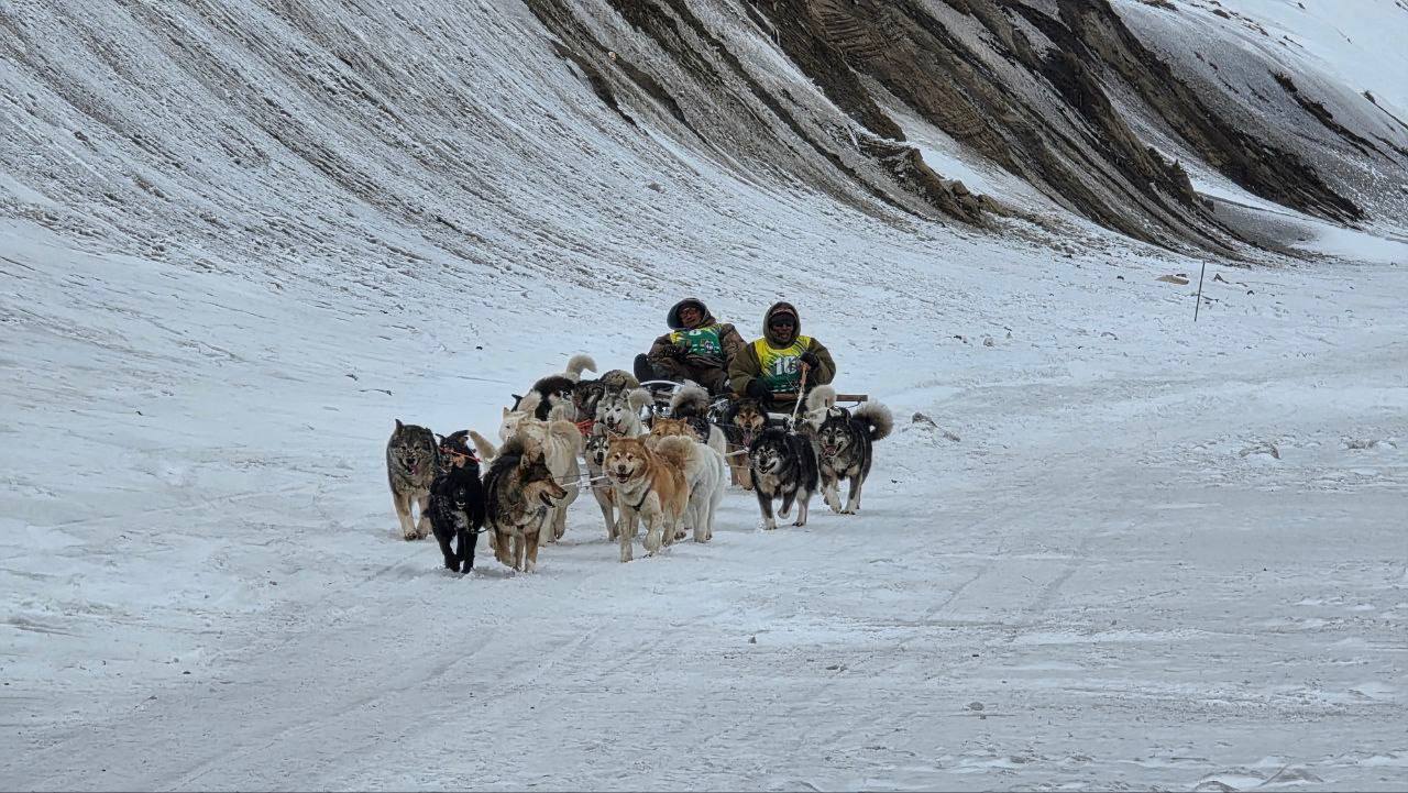 Атмосфера гонки на собачьих упряжках «Надежда»
