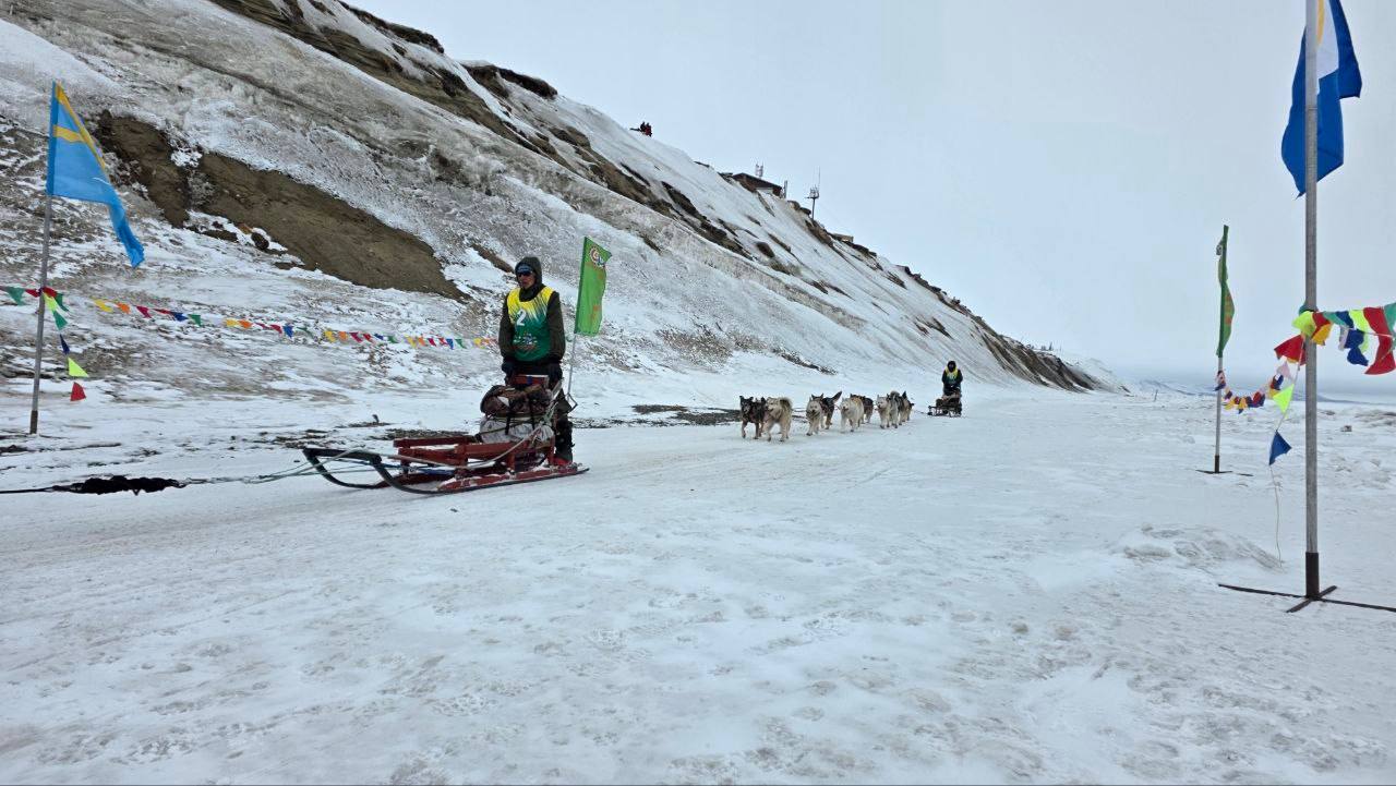Атмосфера гонки на собачьих упряжках «Надежда» Атмосфера гонки на собачьих упряжках «Надежда»