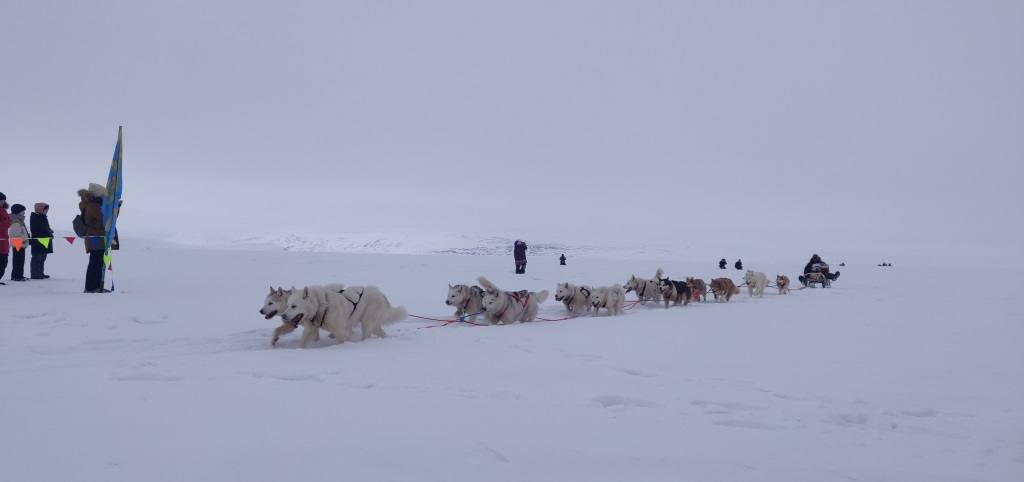 Гонка на собачьих упряжках «Надежда – 2026» в дни с 29 по 31 марта прошла три этапа Инчоун - Уэлен - Лаврентия - Лорино Гонка на собачьих упряжках «Надежда – 2026» в дни с 29 по 31 марта прошла три этапа Инчоун - Уэлен - Лаврентия - Лорино