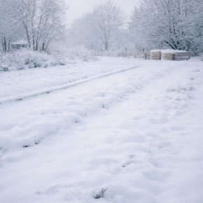 ������ ����� ��� ������: ��� ������ ��������� � �����