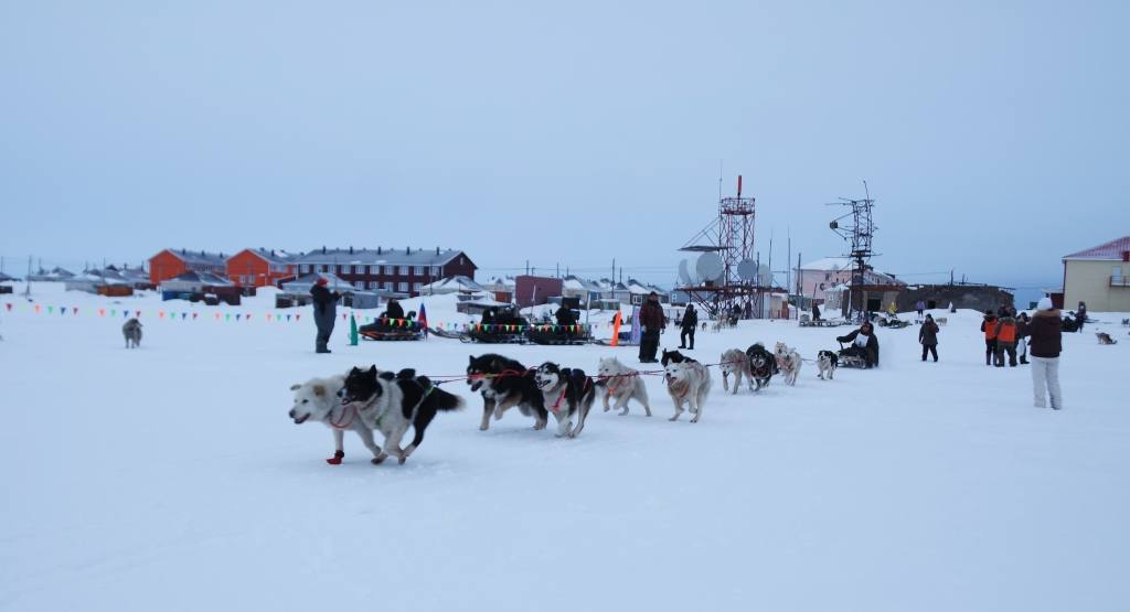 Гонка на собачьих упряжках «Надежда – 2026» в дни с 29 по 31 марта прошла три этапа Инчоун - Уэлен - Лаврентия - Лорино