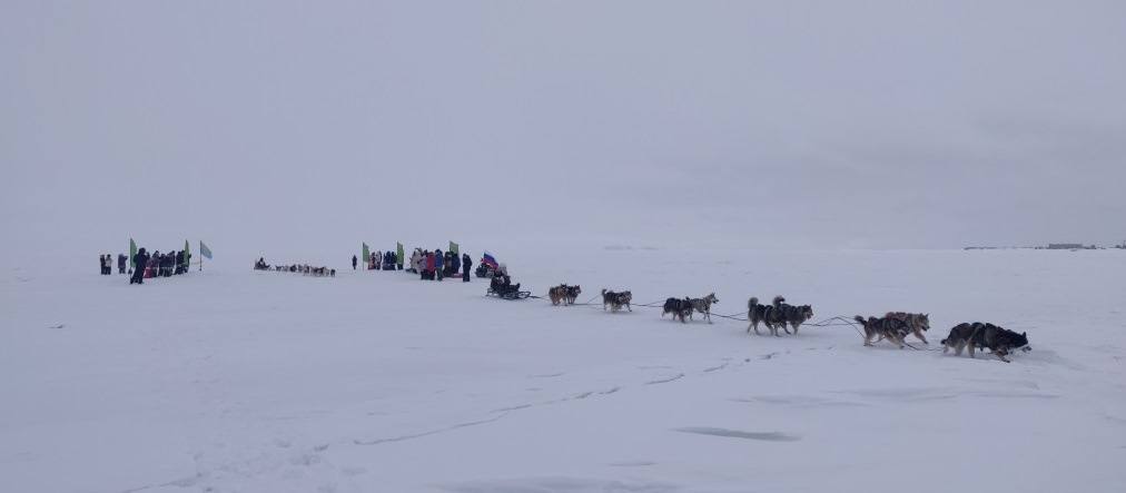 Гонка на собачьих упряжках «Надежда – 2026» в дни с 29 по 31 марта прошла три этапа Инчоун - Уэлен - Лаврентия - Лорино Гонка на собачьих упряжках «Надежда – 2026» в дни с 29 по 31 марта прошла три этапа Инчоун - Уэлен - Лаврентия - Лорино