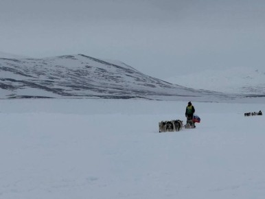 �������� ���� ����� �������� � 2026�