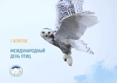 �����, �����������, �������� ������������� ���� ���� (��� �� � ����������� ����������� ������� ��������� �����������)