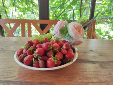 ������ �� ����� ������� ����� ������: ������� ��������� �� �������