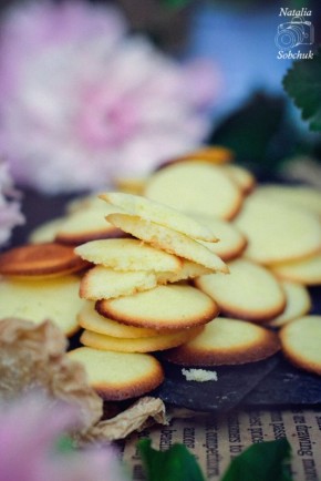 ������ ������� ���������� ������� "�������": ������, ������ � ������