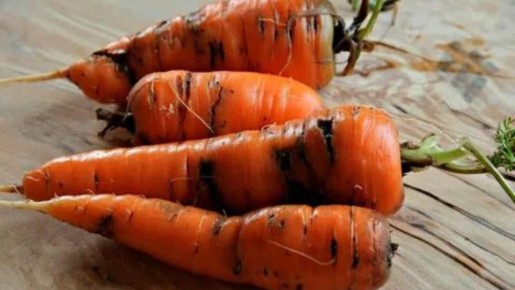 ��� ���������� ���������� � ������� � ��������� �����: ������ � �������� ������