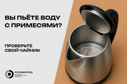 Накипь в чайнике: скрытая угроза, о которой стоит знать