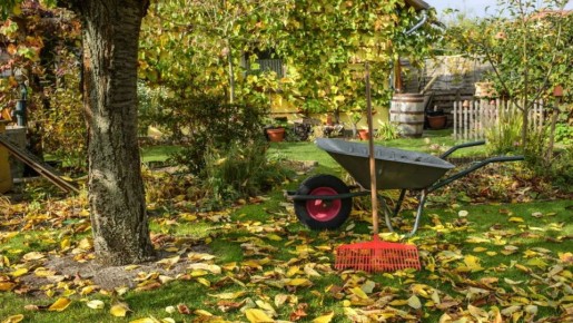 ������ ������� ���������� �������: ��� ��������� �������� ����� � ��������