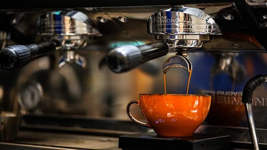 Кофе как контрастирующее вещество в электронной микроскопии