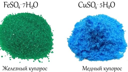 Как выбрать правильный купорос для весенней защиты сада: медный или железный?