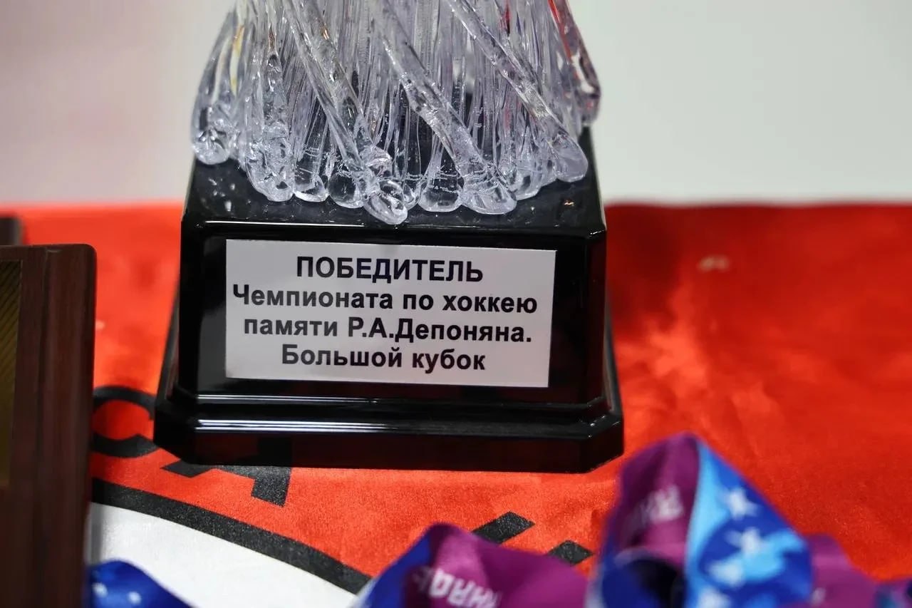 На Чукотке завершились масштабные соревнования по хоккею памяти Роберта Депоняна На Чукотке завершились масштабные соревнования по хоккею памяти Роберта Депоняна